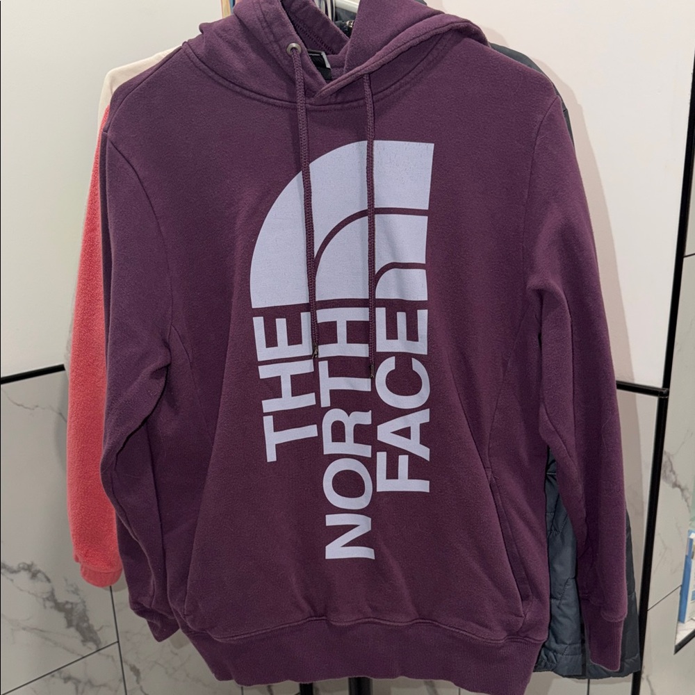 The North Face Men's Hoodie in Deep Purple